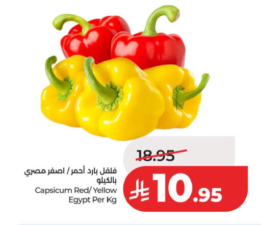 Capsicum from Egypt available at LULU Hypermarket in KSA, Saudi Arabia, Saudi - Dammam