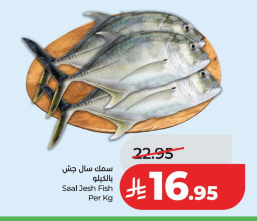 available at لولو هايبرماركت in مملكة العربية السعودية, السعودية, سعودية - المنطقة الشرقية