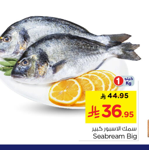 available at Nesto in KSA, Saudi Arabia, Saudi - Al-Kharj