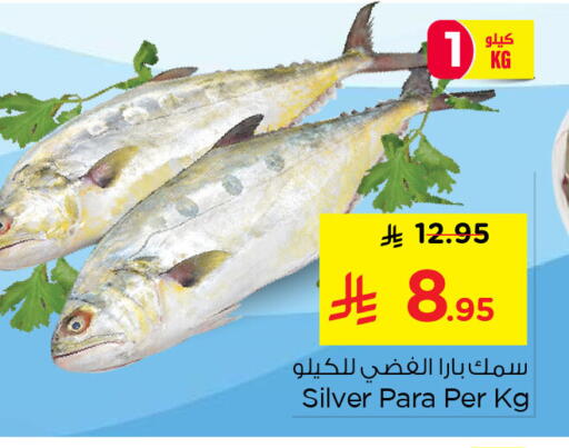 available at نستو in مملكة العربية السعودية, السعودية, سعودية - المنطقة الشرقية
