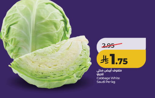Cabbage from Saudi Arabia available at لولو هايبرماركت in مملكة العربية السعودية, السعودية, سعودية - خميس مشيط