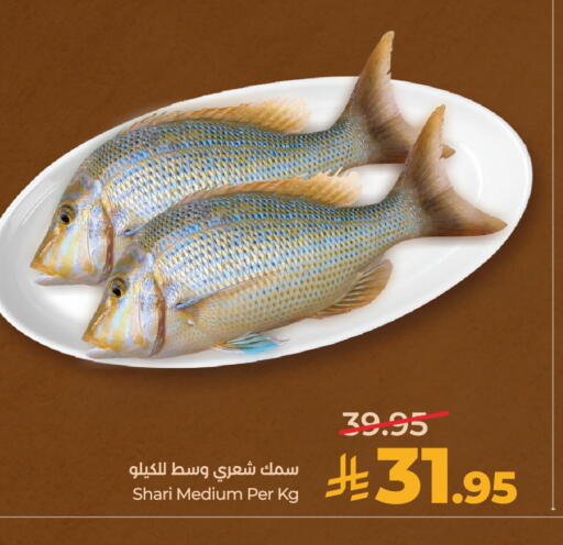available at لولو هايبرماركت in مملكة العربية السعودية, السعودية, سعودية - الخرج