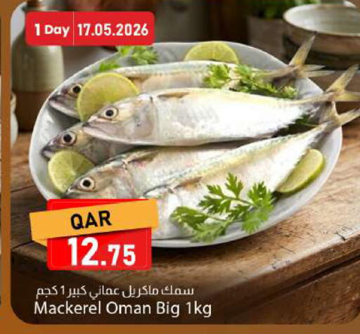 available at دانا ماركت in قطر - الريان