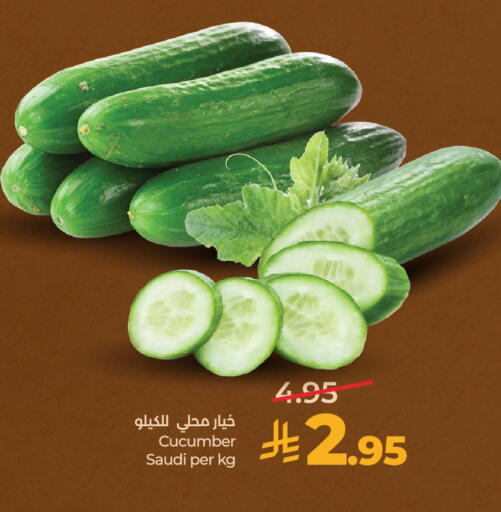 Cucumber from Saudi Arabia available at لولو هايبرماركت in مملكة العربية السعودية, السعودية, سعودية - الخرج