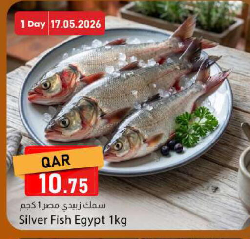 available at دانا ماركت in قطر - الريان