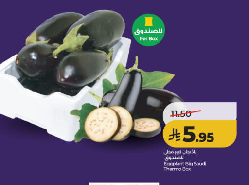 Eggplant from Saudi Arabia available at لولو هايبرماركت in مملكة العربية السعودية, السعودية, سعودية - خميس مشيط