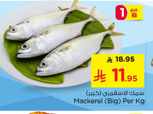 available at نستو in مملكة العربية السعودية, السعودية, سعودية - المنطقة الشرقية