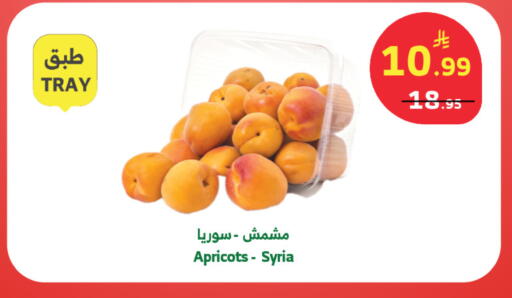 from Syria available at Al Raya in KSA, Saudi Arabia, Saudi - Tabuk