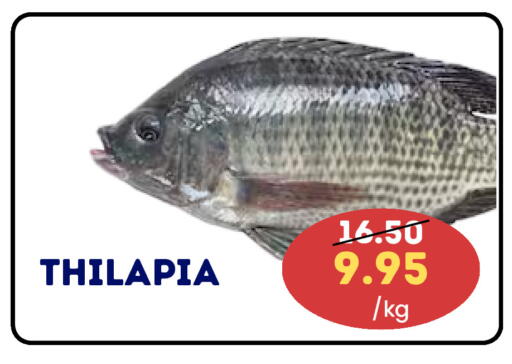 available at سيليكت ماركت in الإمارات العربية المتحدة , الامارات - أبو ظبي