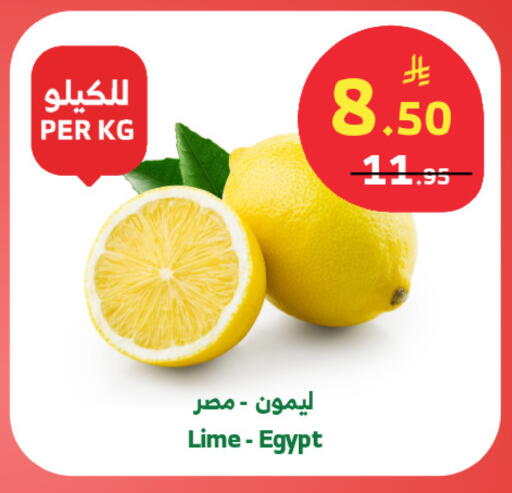 from Egypt available at Al Raya in KSA, Saudi Arabia, Saudi - Tabuk