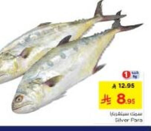 available at نستو in مملكة العربية السعودية, السعودية, سعودية - الرياض