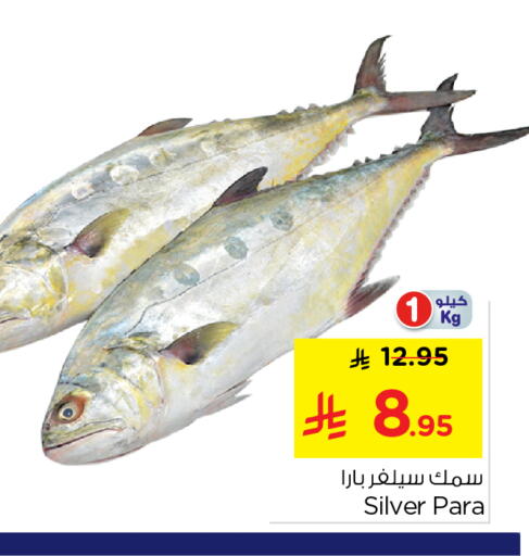 available at Nesto in KSA, Saudi Arabia, Saudi - Al-Kharj