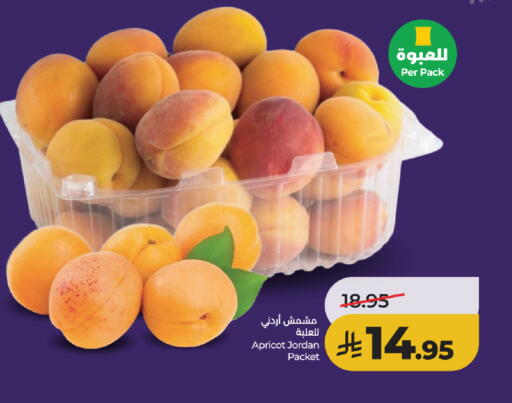 Apricot from Jordan available at لولو هايبرماركت in مملكة العربية السعودية, السعودية, سعودية - خميس مشيط
