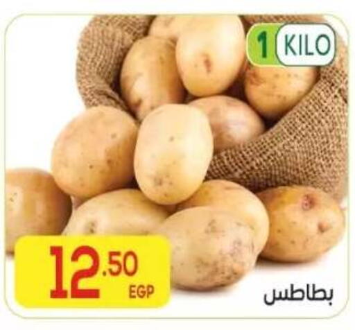available at المحلاوي ماركت in Egypt - القاهرة