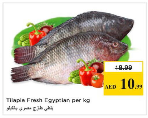 available at نستو هايبرماركت in الإمارات العربية المتحدة , الامارات - رَأْس ٱلْخَيْمَة