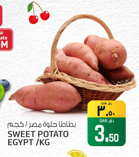 Sweet Potato from Egypt available at السعودية in قطر - الشحانية