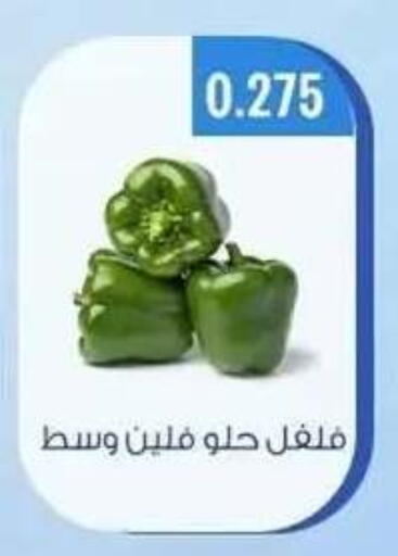 available at جمعية حطين التعاونية in الكويت - مدينة الكويت