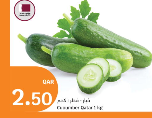 Cucumber from Qatar available at سيتي هايبرماركت in قطر - الشمال