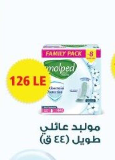 available at Arafa Market in Egypt - Cairo