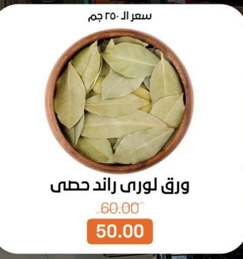 available at Beit El Gomla in Egypt - Cairo
