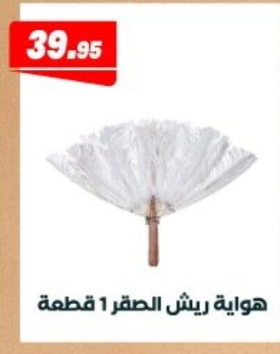 available at Arafa Market in Egypt - Cairo