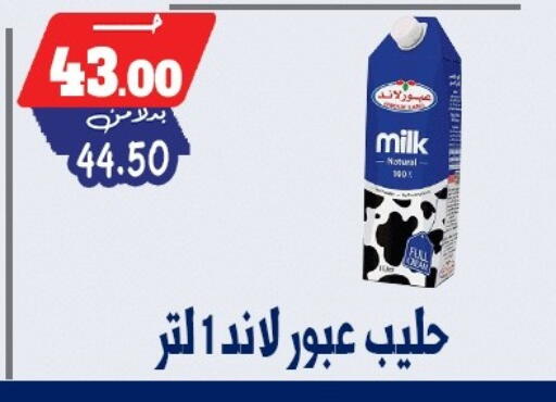 available at بندق ماركت in Egypt - القاهرة