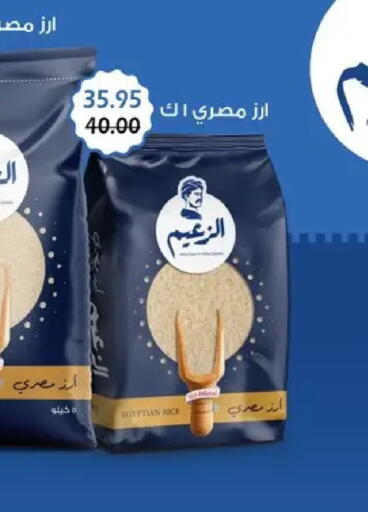 available at Bashayer hypermarket in Egypt - Cairo