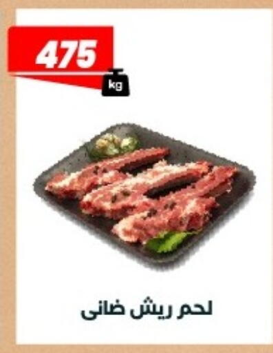 available at Arafa Market in Egypt - Cairo