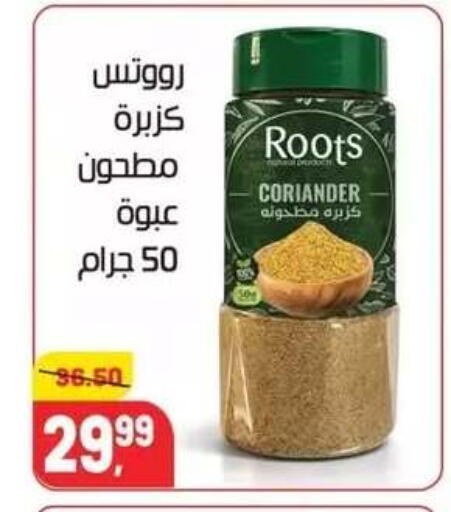 Coriander available at Hyper El Mansoura Shobra in Egypt - Cairo