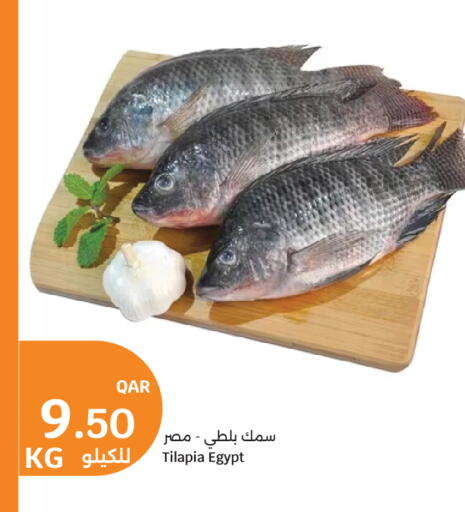 available at City Hypermarket in Qatar - Al Shamal
