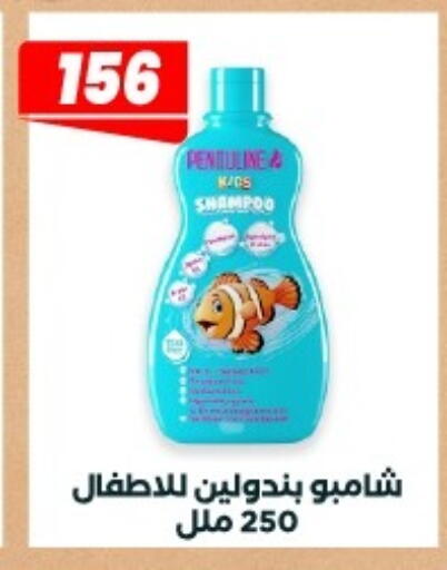 available at Arafa Market in Egypt - Cairo