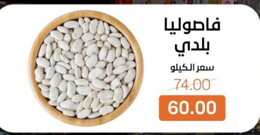 available at بيت الجملة in Egypt - القاهرة