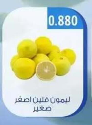 available at جمعية حطين التعاونية in الكويت - مدينة الكويت