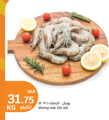 available at سيتي هايبرماركت in قطر - الشمال