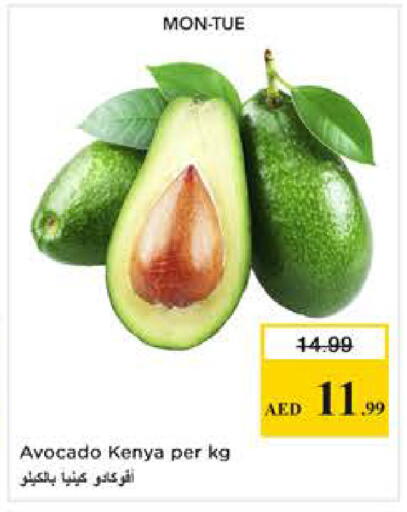 Avocado from Kenya available at Nesto Hypermarket in UAE - Dubai