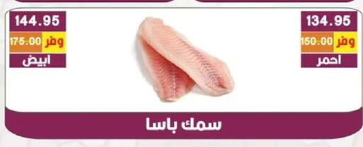 available at بشاير هايبرماركت in Egypt - القاهرة
