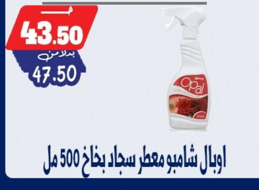 available at بندق ماركت in Egypt - القاهرة