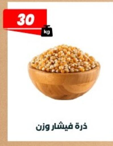available at Arafa Market in Egypt - Cairo