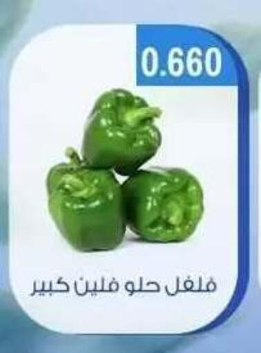 available at جمعية حطين التعاونية in الكويت - مدينة الكويت