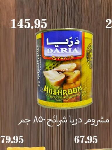 Mushroom available at Arafa Market in Egypt - Cairo