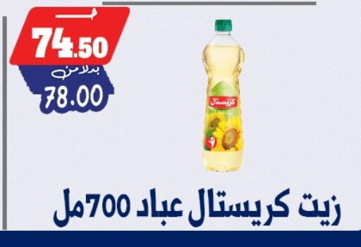 available at بندق ماركت in Egypt - القاهرة
