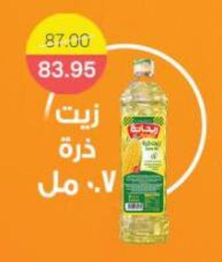 available at Beit El Gomla in Egypt - Cairo