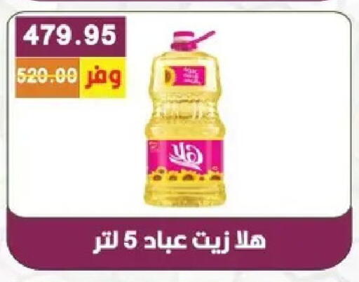 available at بشاير هايبرماركت in Egypt - القاهرة