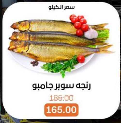 available at Beit El Gomla in Egypt - Cairo