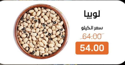 available at بيت الجملة in Egypt - القاهرة