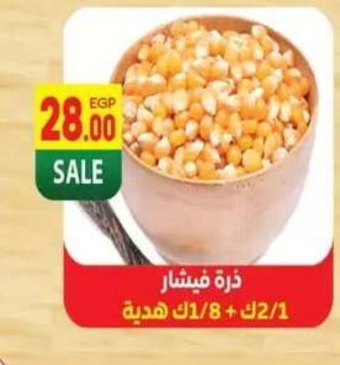 available at Hyper El Mansoura Shobra in Egypt - Cairo