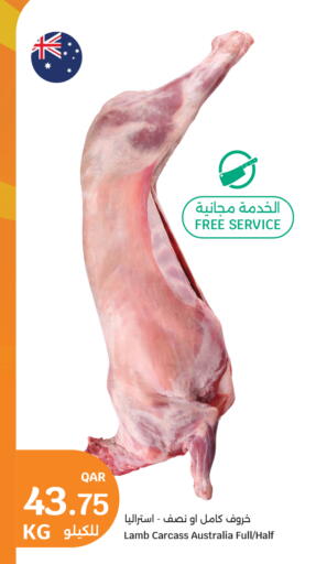 available at City Hypermarket in Qatar - Al Wakra