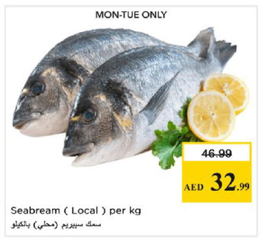 available at نستو هايبرماركت in الإمارات العربية المتحدة , الامارات - رَأْس ٱلْخَيْمَة