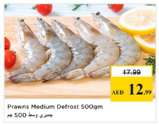 available at نستو هايبرماركت in الإمارات العربية المتحدة , الامارات - رَأْس ٱلْخَيْمَة