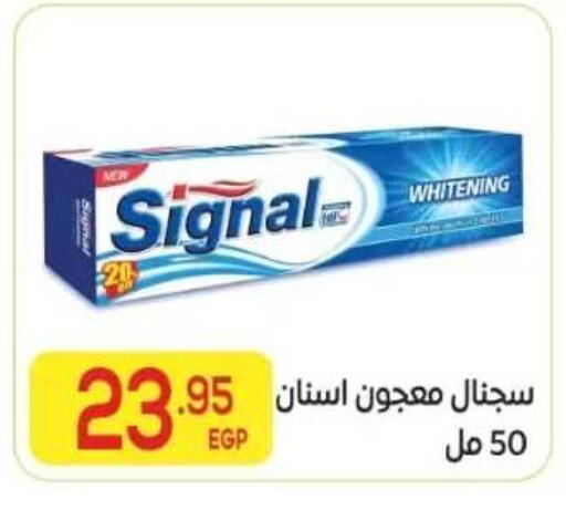 available at المحلاوي ماركت in Egypt - القاهرة
